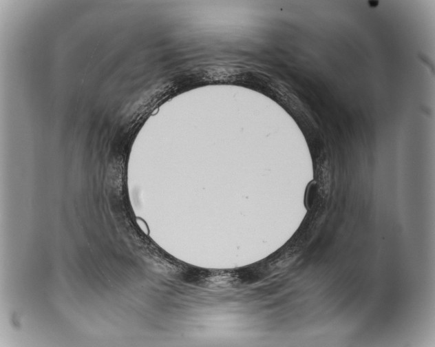 X0000099550505200806131215