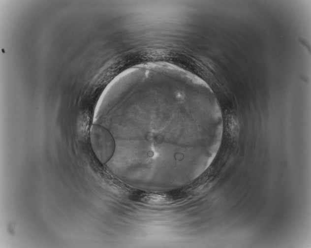 X0000099550507200806131215