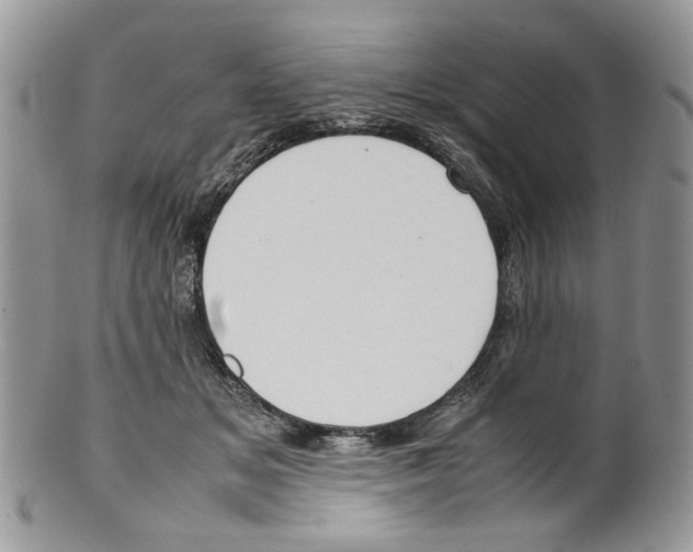 X0000099550509200806131215