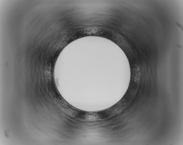 X0000099550510200806131215