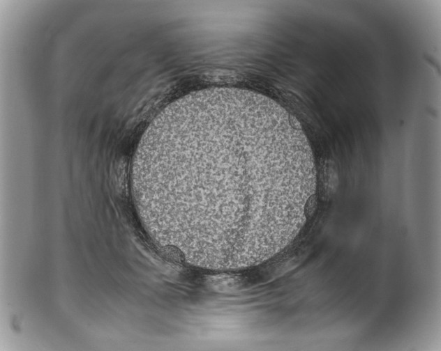 X0000099550511200806131215