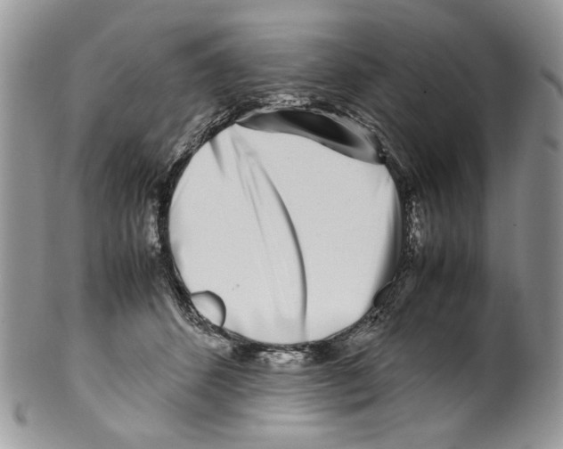 X0000099550512200806131215