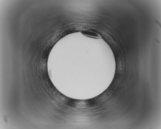 X0000099550513200806131215