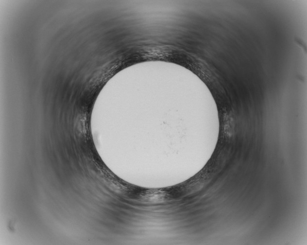 X0000099550514200806131215