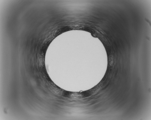 X0000099550515200806131215