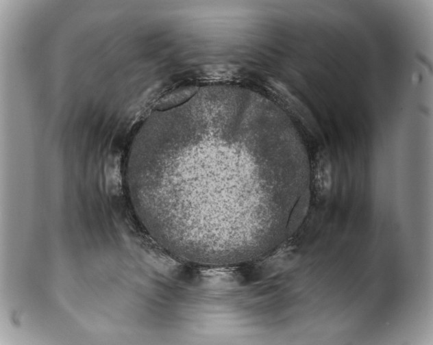 X0000099550516200806131215