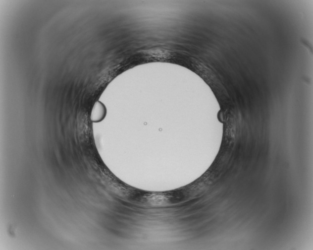 X0000099550518200806131215