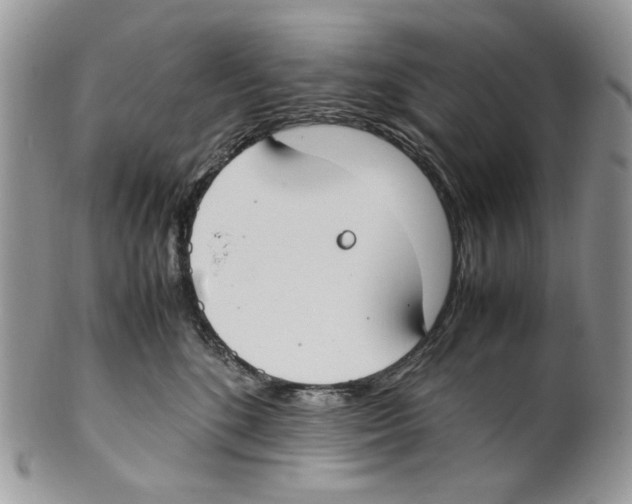 X0000099550520200806131215