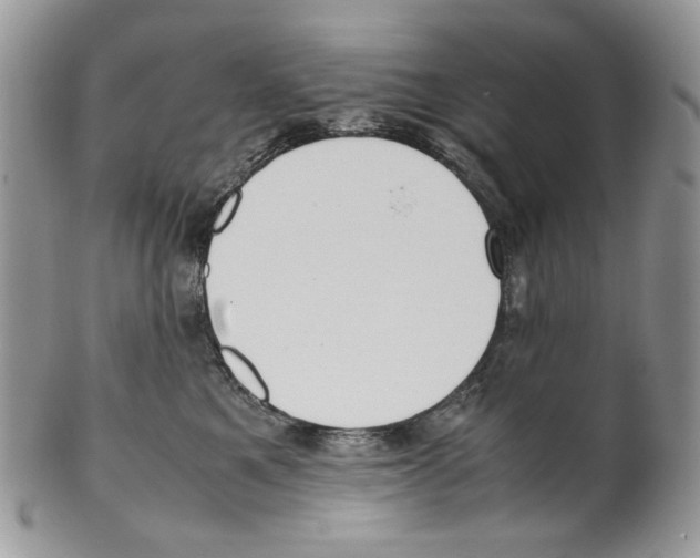 X0000099550521200806131215