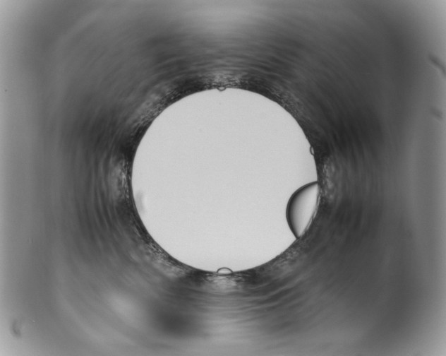 X0000099550522200806131215