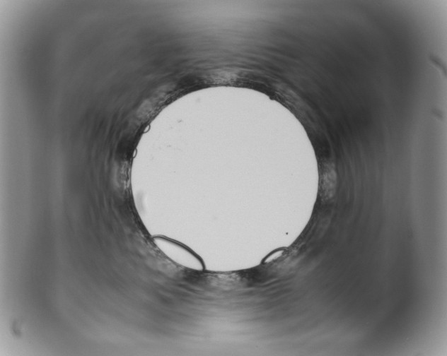 X0000099550525200806131215