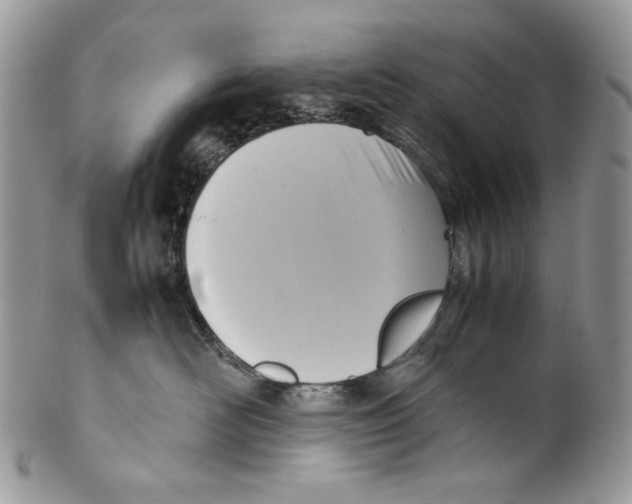 X0000099550526200806131215