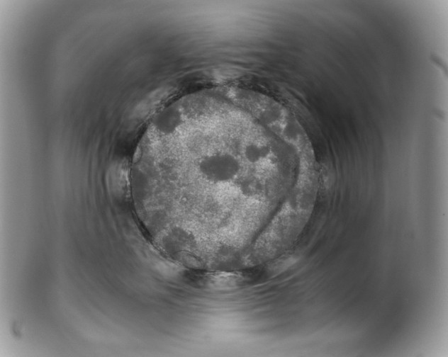 X0000099550527200806131215