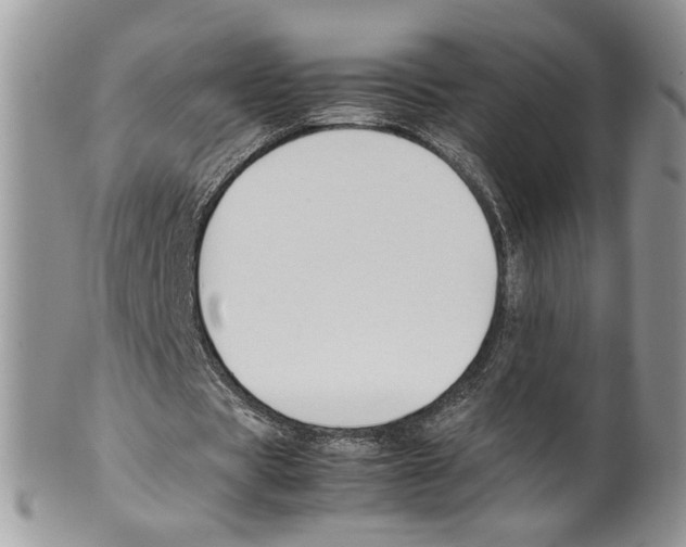 X0000099550529200806131214