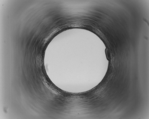 X0000099550530200806131214