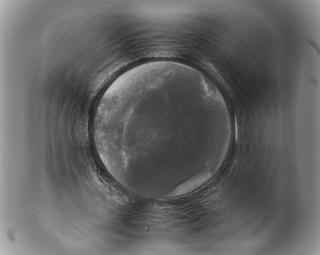 X0000099550531200806131214