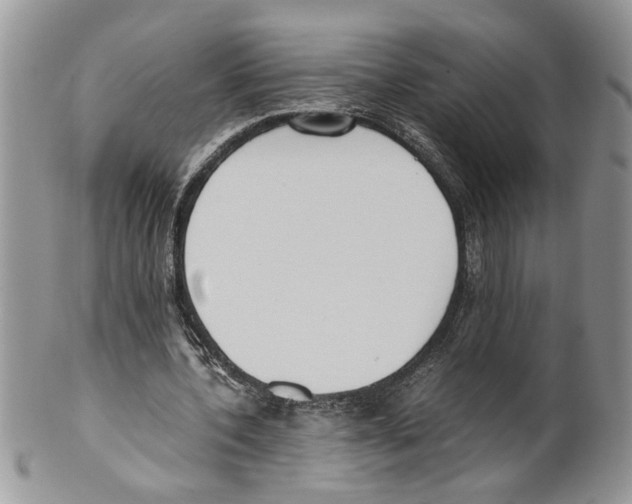 X0000099550532200806131214