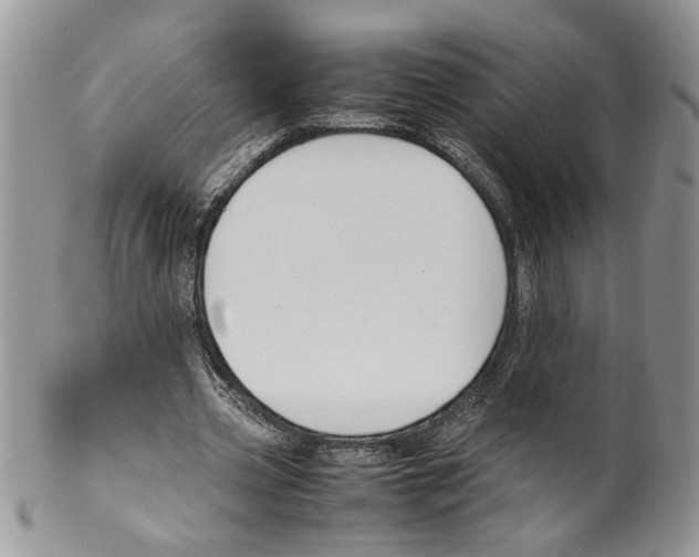 X0000099550533200806131214