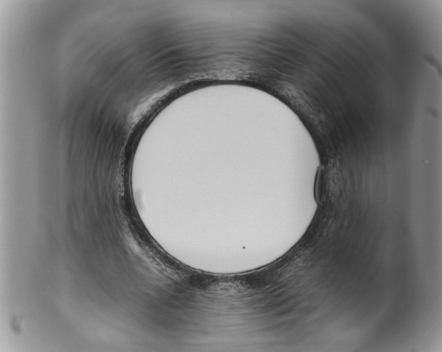 X0000099550536200806131214