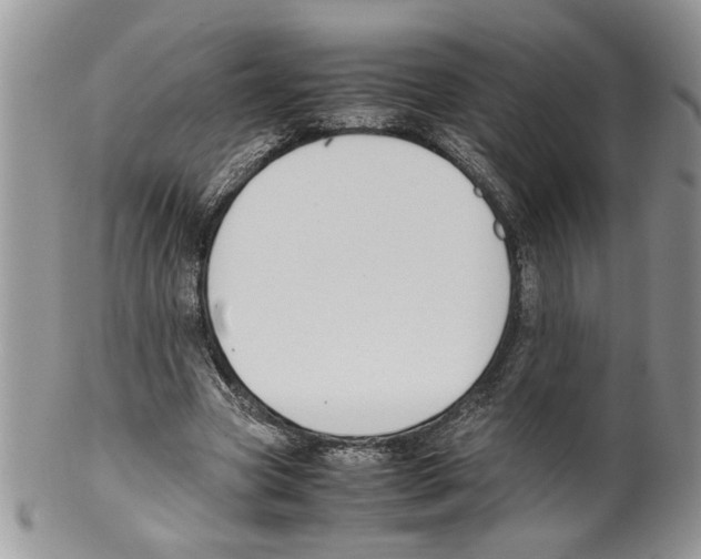 X0000099550537200806131214