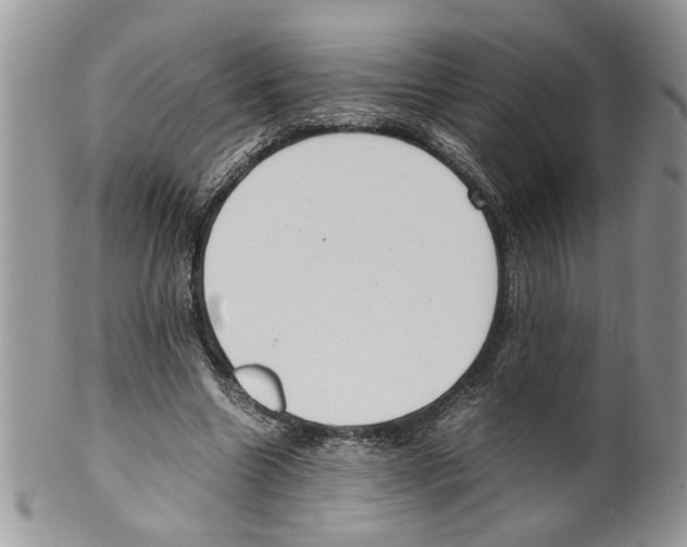 X0000099550538200806131214