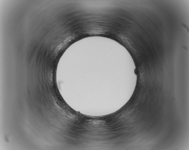 X0000099550539200806131214