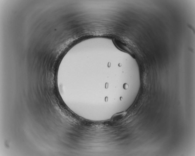 X0000099550540200806131214