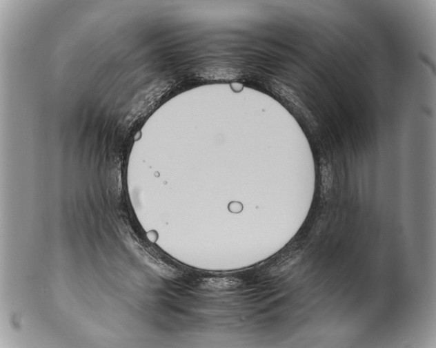 X0000099550541200806131214