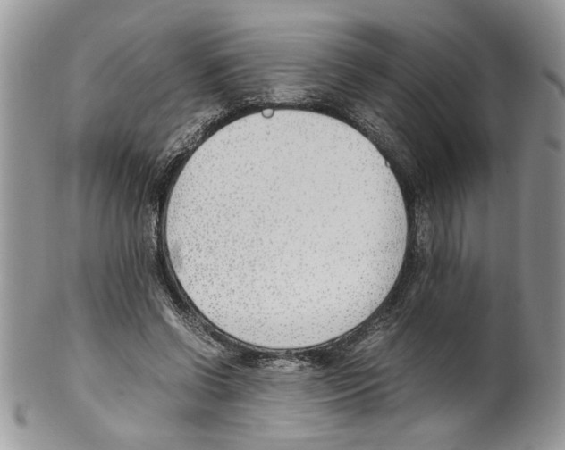 X0000099550542200806131214