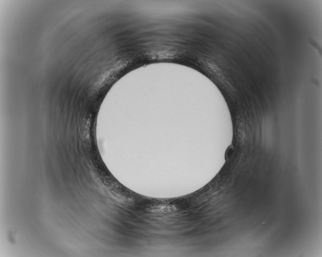 X0000099550543200806131214