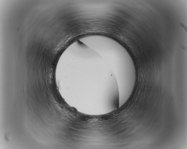 X0000099550544200806131214