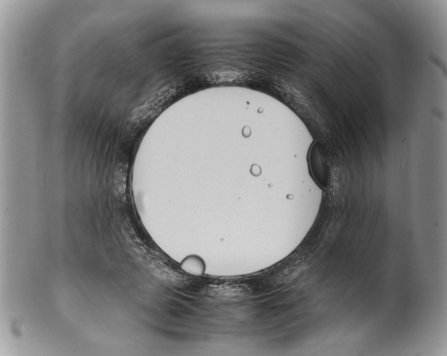 X0000099550545200806131214