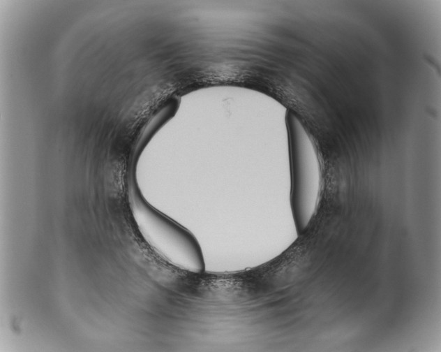 X0000099550546200806131214