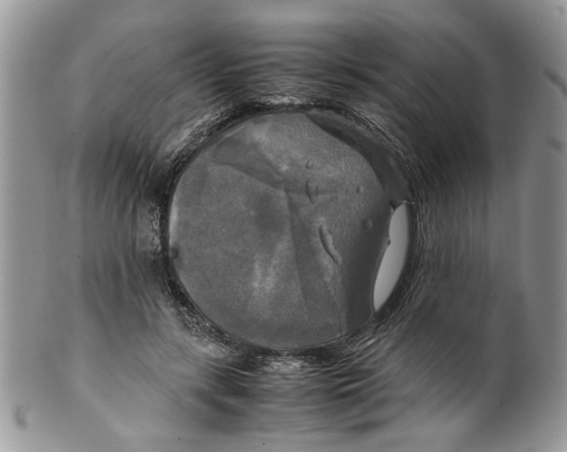 X0000099550547200806131214