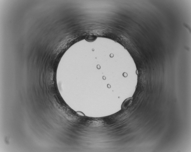 X0000099550548200806131214