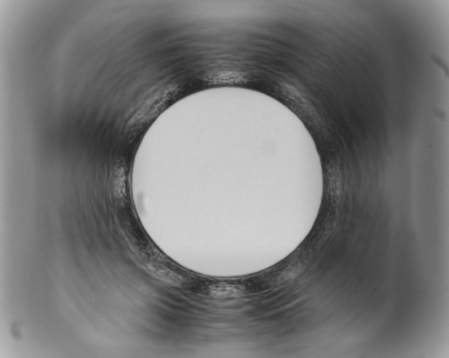 X0000099550549200806131214