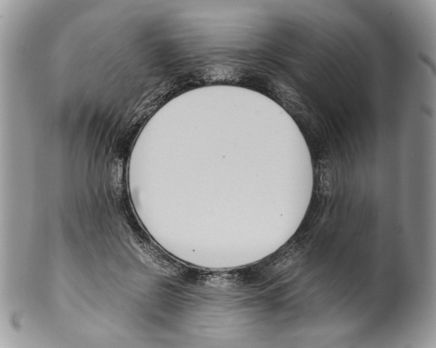 X0000099550550200806131214