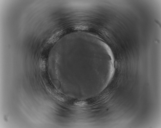 X0000099550551200806131214