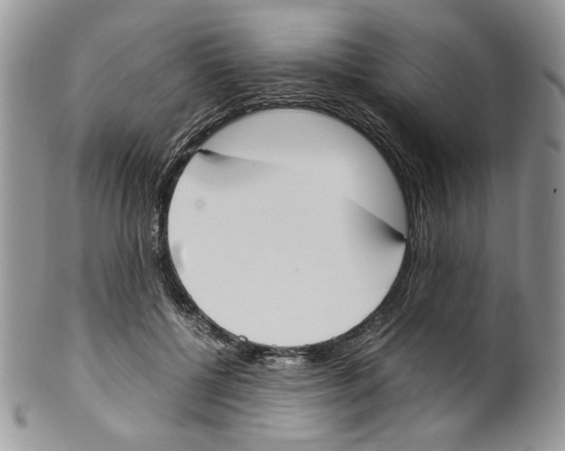 X0000099550552200806131214