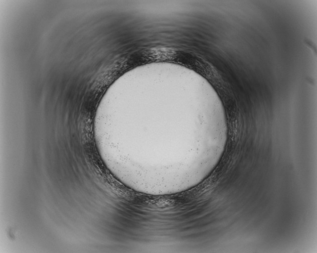 X0000099550553200806131214