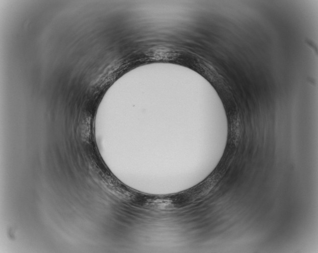 X0000099550554200806131214