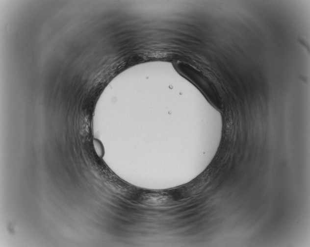 X0000099550555200806131214