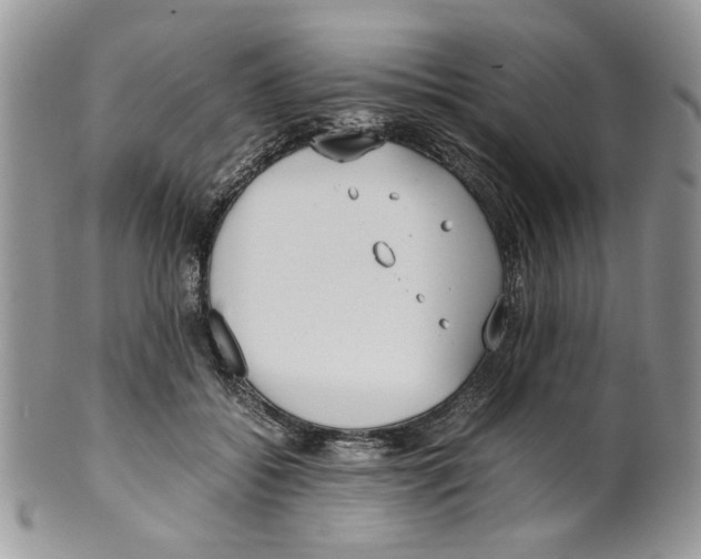 X0000099550556200806131214