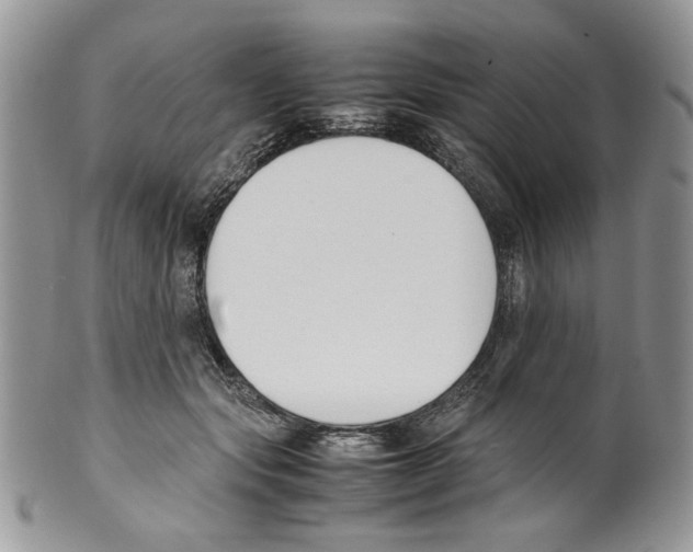 X0000099550557200806131214