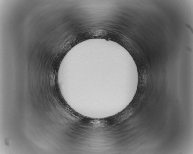 X0000099550558200806131214