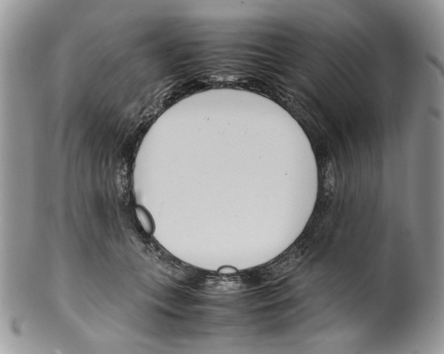 X0000099550559200806131215