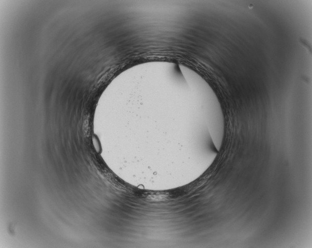 X0000099550560200806131215