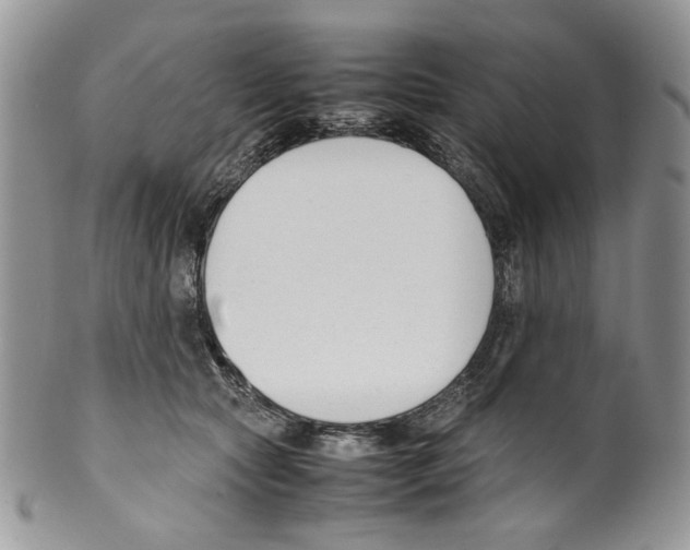 X0000099550561200806131215