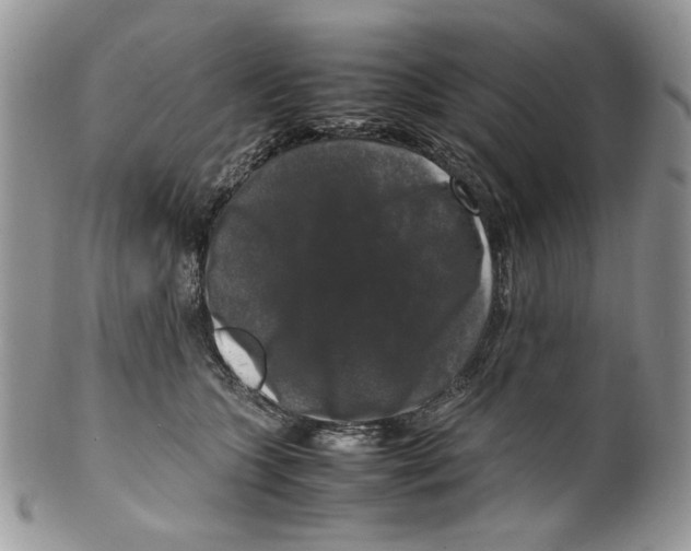 X0000099550563200806131215