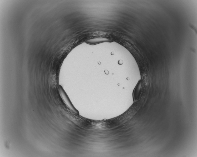 X0000099550564200806131215